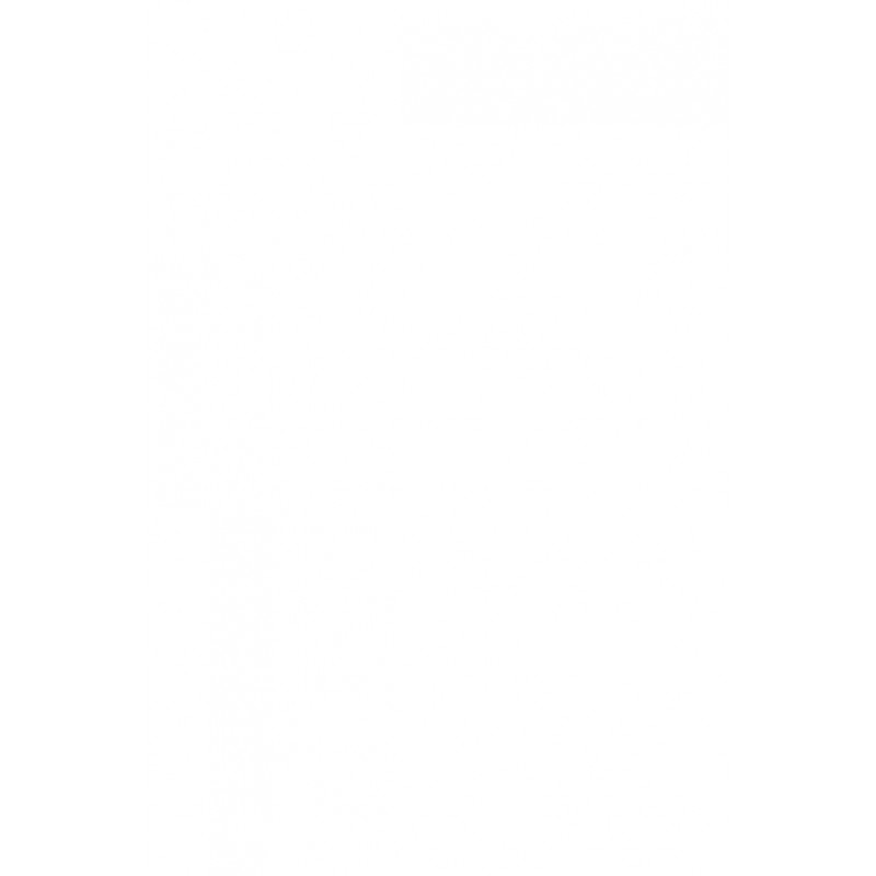 Icono v. rocio color 12x20