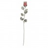 ROSA ROSA TALLO LARGO 30 CMS