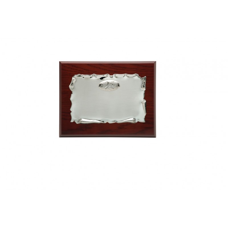 PLACA 25 AN. 29X23 C/CHAPA METAL P. 20X15