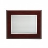 PLACA 29x23 LATON PLAT. 20X15