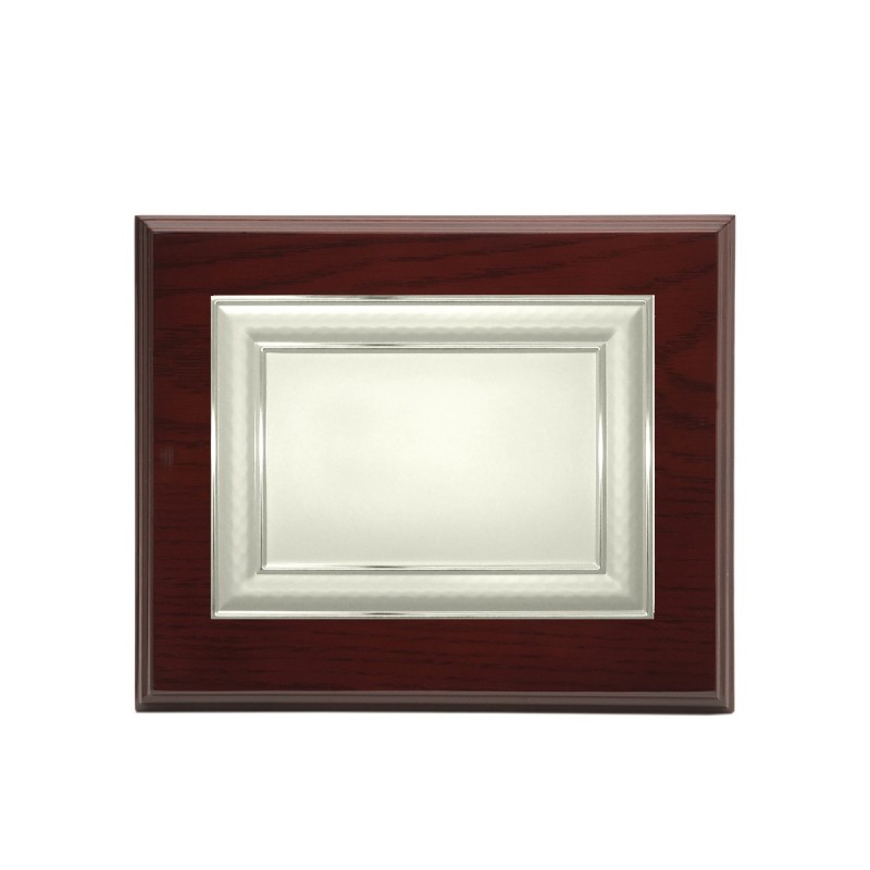 PLACA PLATEADA 29X23 CHAPA 20X15