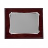 PLACA 23X19 ALUMINIO 16X12 P-1686