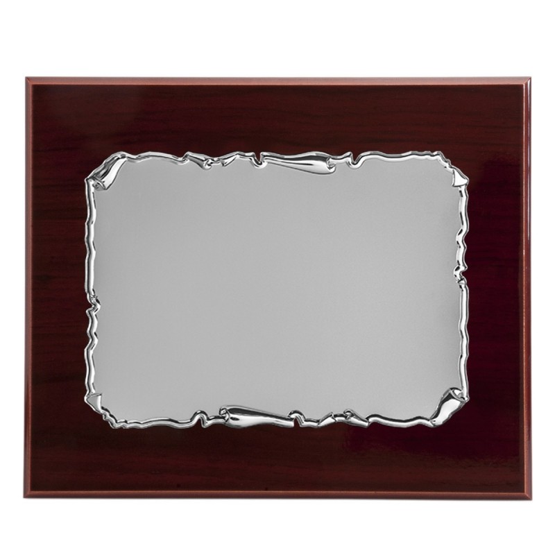 PLACA 23X19 PACA ALUMIN. PLAT. 16X12