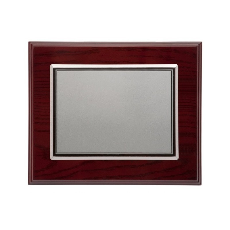 PLACA 29X23 ALUMINIO 20X15 MADERA LUJO P-1703