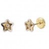 Pendientes en forma de estrella de oro bicolor y circonita