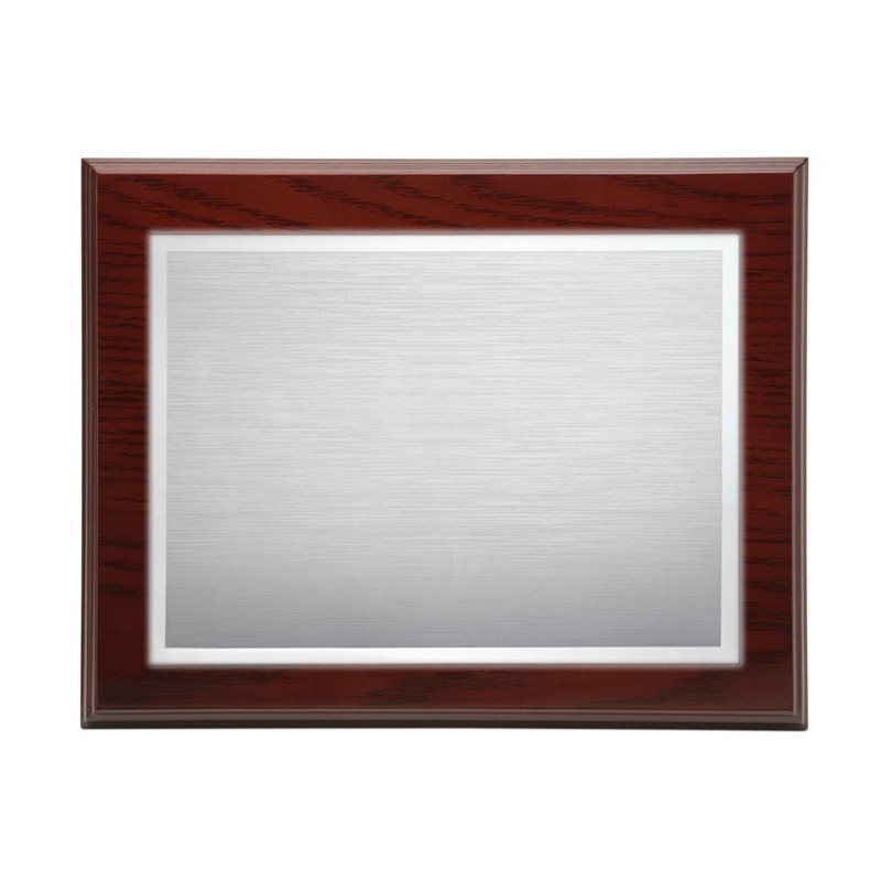 Placa plata 21x15 y chapa 14x10  p-1004 