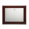 Placa 23x19 plata 16x12  p-1207 