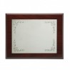 Placa 23x19 plata 16x12  p-1139 