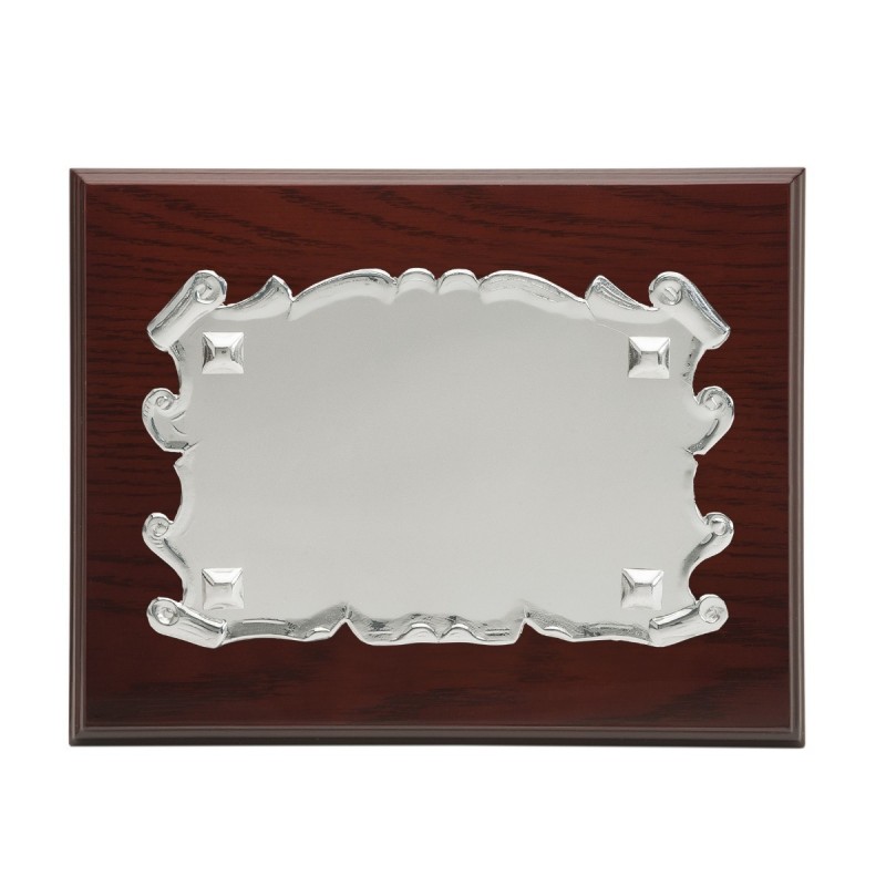 Placa 23x19 plata 16x12  p-1193 