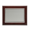 Placa 23x19 plata 16x12  p-1501 