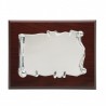 Placa 29x23 plata 20x15  p-1183 