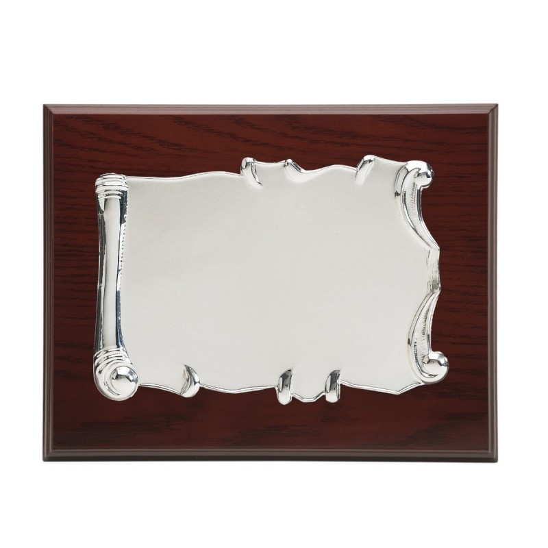 Placa 23x19 plata 16x12  p-1185 