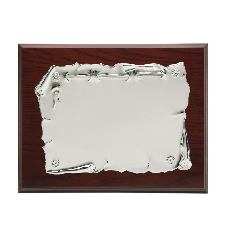 Placa 23x19 plata 16x12  p-1155 