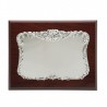 Placa 23x19 plata 16x12  p-1163 