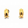 Pendientes Oro 18K [35-10144-P]