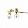 Pendientes diamantes oro amarillo 18K [36-4631-P]