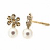 Pendientes Oro 18K [49-2409-P]
