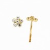 Pendientes oro amarillo 18K [27-9198-1-P]