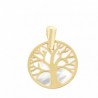 Colgante arbol vida nacar oro amarillo 18k [27-9521-16 ]