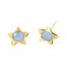 Pendientes estrella piedra color azul oro amarillo 18K [26-11057-A-P]