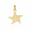 Colgante estrella mar oro amarillo 18k [27-10665-99 ]