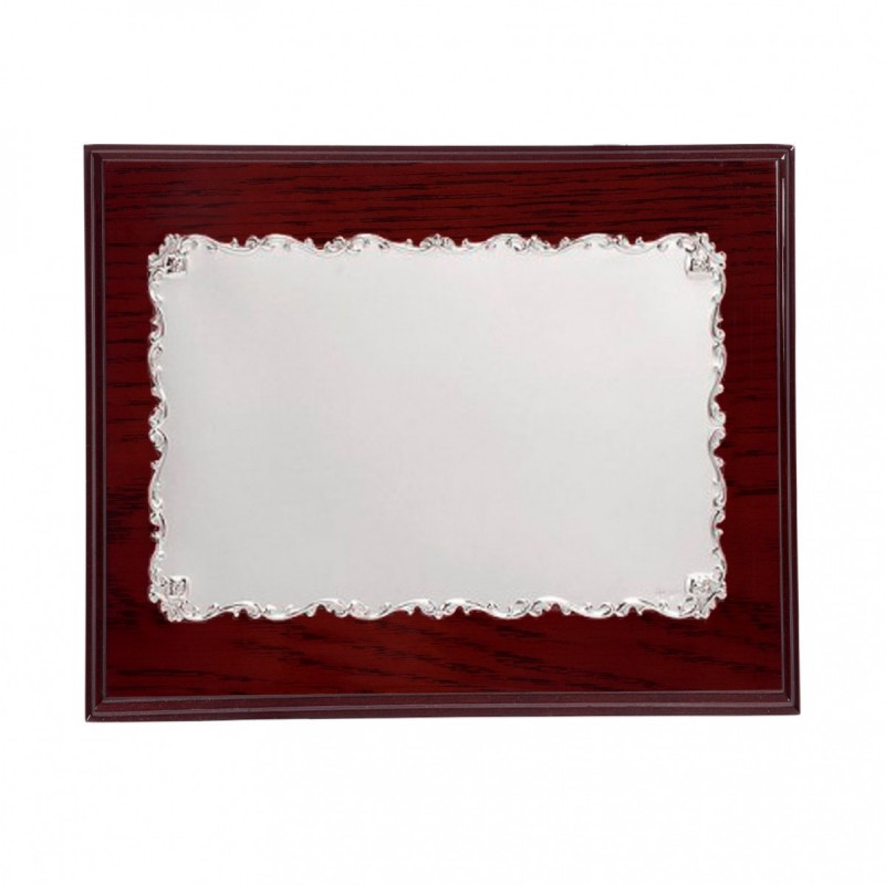 PLACA 23X19 CHAPA ALPACA 17X10.5