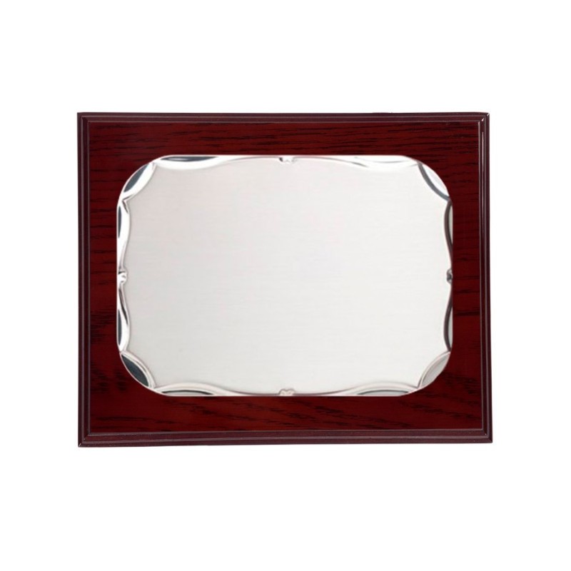 PLACA 29X23 CHAPA ALPACA 22X17CMS