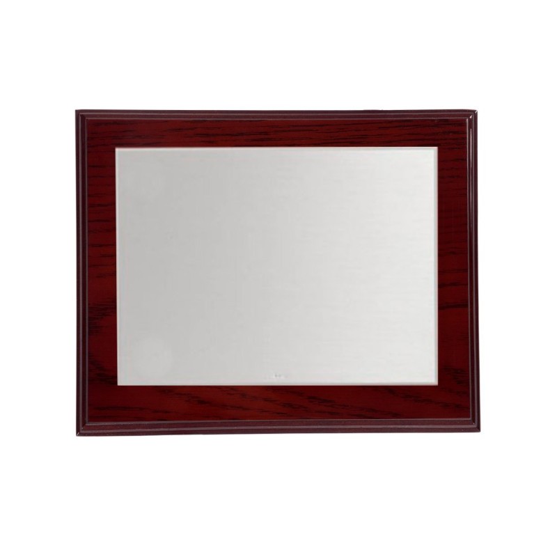 PLACA ALPACA 23X19 CHAPA 17X12.5